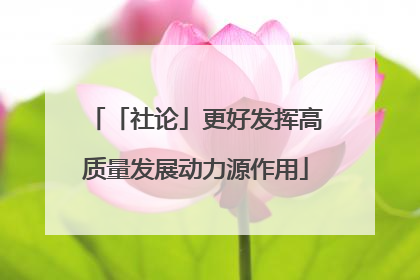 「社论」更好发挥高质量发展动力源作用