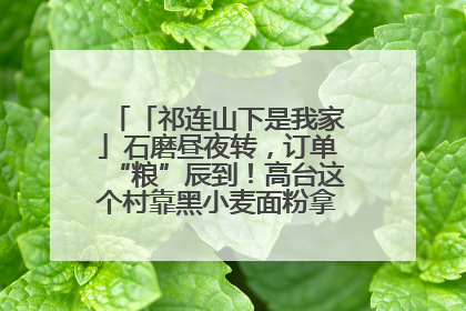 「祁连山下是我家」石磨昼夜转，订单“粮”辰到！高台这个村靠黑小麦面粉拿下成立来最大订单