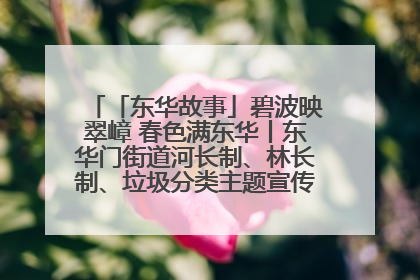 「东华故事」碧波映翠嶂 春色满东华丨东华门街道河长制、林长制、垃圾分类主题宣传如火如荼中