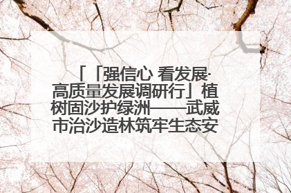 「强信心 看发展·高质量发展调研行」植树固沙护绿洲——武威市治沙造林筑牢生态安全屏障见闻