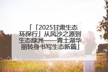 「2025甘肃生态环保行」从风沙之源到生态绿洲——青土湖华丽转身书写生态新篇