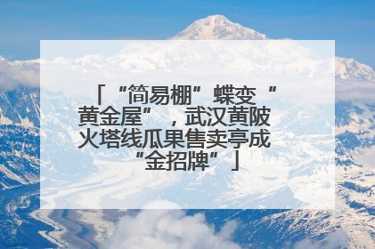 “简易棚”蝶变“黄金屋”，武汉黄陂火塔线瓜果售卖亭成“金招牌”