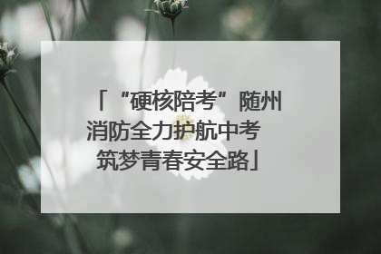 “硬核陪考”随州消防全力护航中考 筑梦青春安全路