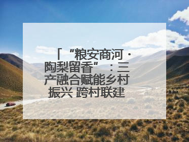 “粮安商河・陶梨留香”：三产融合赋能乡村振兴 跨村联建绘就共富画卷
