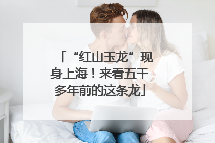 “红山玉龙”现身上海！来看五千多年前的这条龙