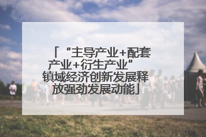 “主导产业+配套产业+衍生产业” 镇域经济创新发展释放强劲发展动能