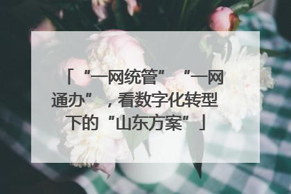 “一网统管”“一网通办”，看数字化转型下的“山东方案”