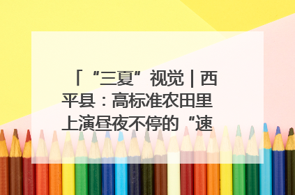 “三夏”视觉｜西平县：高标准农田里上演昼夜不停的“速度与激情”