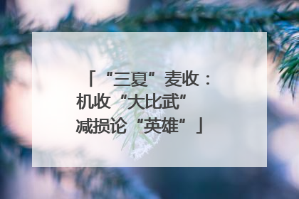 “三夏”麦收：机收“大比武” 减损论“英雄”