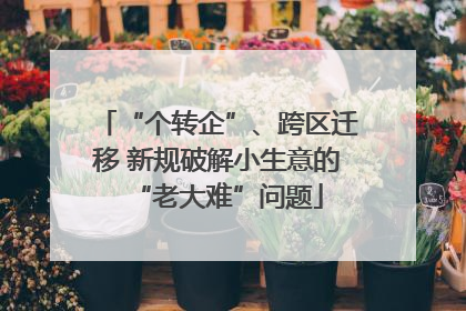 “个转企”、跨区迁移 新规破解小生意的“老大难”问题