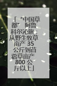 “中国草都” 阿鲁科尔沁旗：从野生牧草亩产 35 公斤到苜蓿草亩产 800 公斤以上