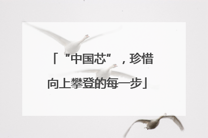 “中国芯”，珍惜向上攀登的每一步