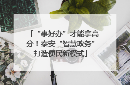 “事好办”才能拿高分！泰安“智慧政务”打造便民新模式
