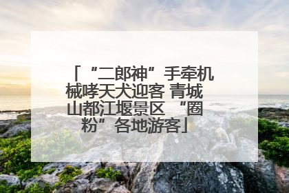 “二郎神”手牵机械哮天犬迎客 青城山都江堰景区 “圈粉”各地游客