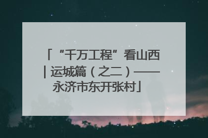 “千万工程”看山西｜运城篇（之二）——永济市东开张村