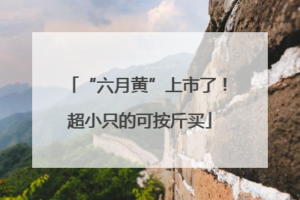 “六月黄”上市了！超小只的可按斤买