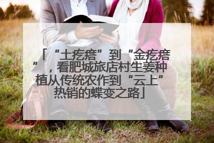 “土疙瘩”到“金疙瘩”，看肥城旅店村生姜种植从传统农作到“云上”热销的蝶变之路