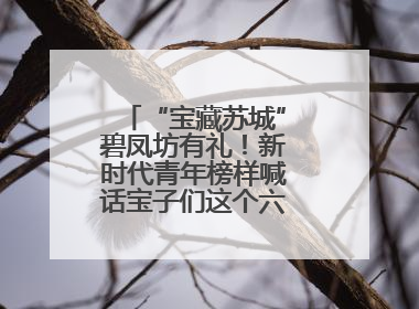 “宝藏苏城”碧凤坊有礼！新时代青年榜样喊话宝子们这个六一来平江街道
