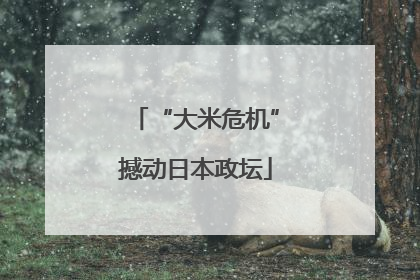 “大米危机”撼动日本政坛