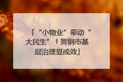 “小物业”牵动“大民生”！舞钢市基层治理显成效