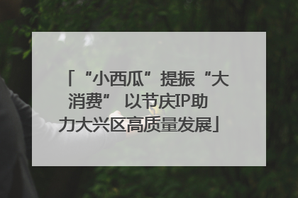 “小西瓜”提振“大消费” 以节庆IP助力大兴区高质量发展