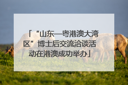 “山东—粤港澳大湾区”博士后交流洽谈活动在港澳成功举办
