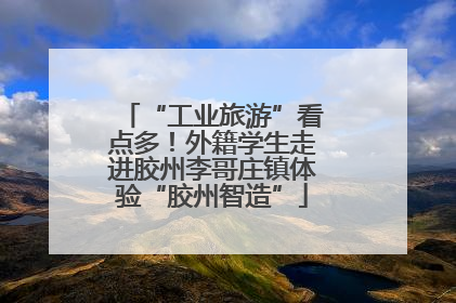 “工业旅游”看点多！外籍学生走进胶州李哥庄镇体验“胶州智造”