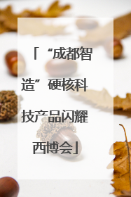 “成都智造”硬核科技产品闪耀西博会