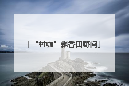 “村咖”飘香田野间