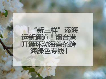 “新三样”添海运新通道！烟台港开通环渤海首条跨海绿色专线