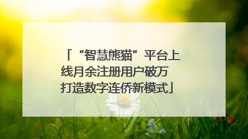 “智慧熊猫”平台上线月余注册用户破万 打造数字连侨新模式
