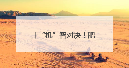 “机”智对决！肥西县第四届人工智能竞赛火热开赛