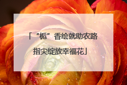 “栀”香绘就助农路 指尖绽放幸福花
