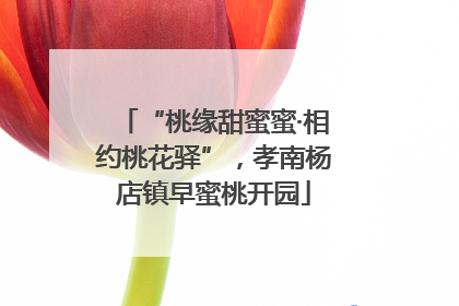 “桃缘甜蜜蜜·相约桃花驿”，孝南杨店镇早蜜桃开园