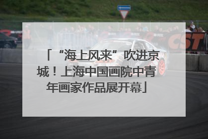“海上风来”吹进京城！上海中国画院中青年画家作品展开幕