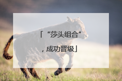 “莎头组合”，成功晋级