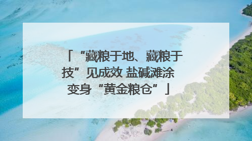 “藏粮于地、藏粮于技”见成效 盐碱滩涂变身“黄金粮仓”