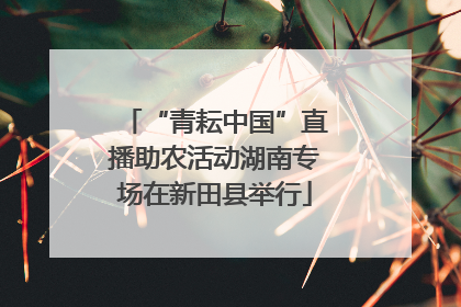 “青耘中国”直播助农活动湖南专场在新田县举行