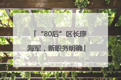 “80后”区长廖海军，新职务明确