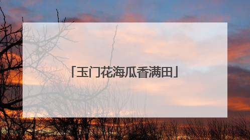 玉门花海瓜香满田