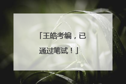 王皓考编，已通过笔试！