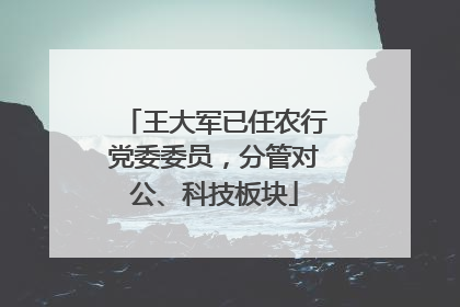 王大军已任农行党委委员，分管对公、科技板块