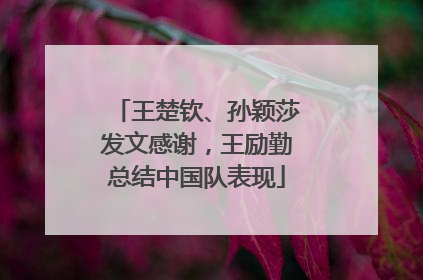王楚钦、孙颖莎发文感谢，王励勤总结中国队表现
