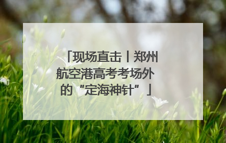 现场直击丨郑州航空港高考考场外的“定海神针”