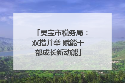 灵宝市税务局：双措并举 赋能干部成长新动能