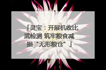灵宝：开展机收比武检测 筑牢粮食减损“无形粮仓”