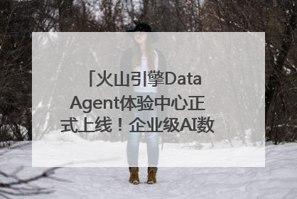 火山引擎Data Agent体验中心正式上线！企业级AI数据专家触手可及