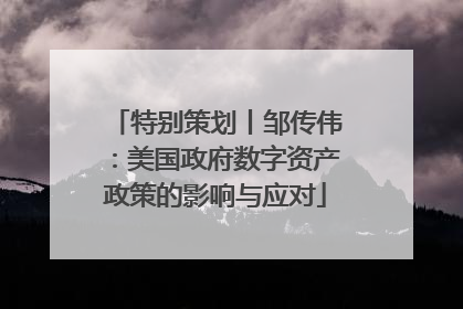 特别策划丨邹传伟：美国政府数字资产政策的影响与应对