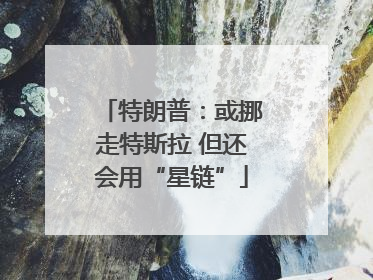 特朗普：或挪走特斯拉 但还会用“星链”