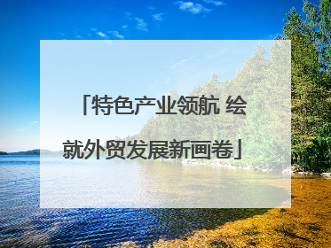 特色产业领航 绘就外贸发展新画卷